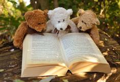 Teddy Bears and Books