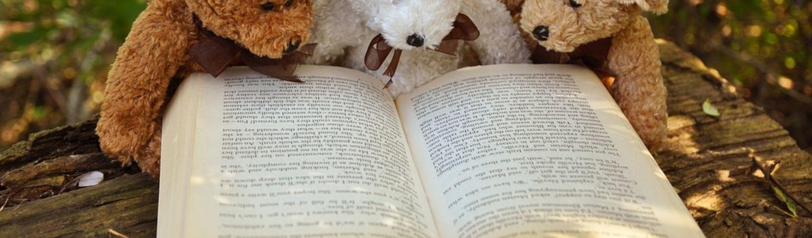 Teddy Bears and Books